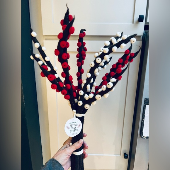 Trader Joe’s NWT Unbelievably Beautiful Red White Brown Wool Felted Ilex Berries - Picture 2 of 7